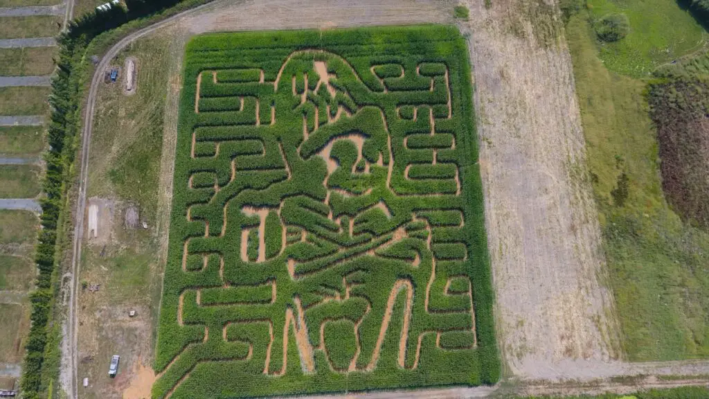 Deady Acres Haunted Corn Maze