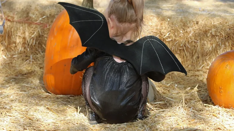 Child in a bat costume sitting between pumpkins on straw, seen from behind